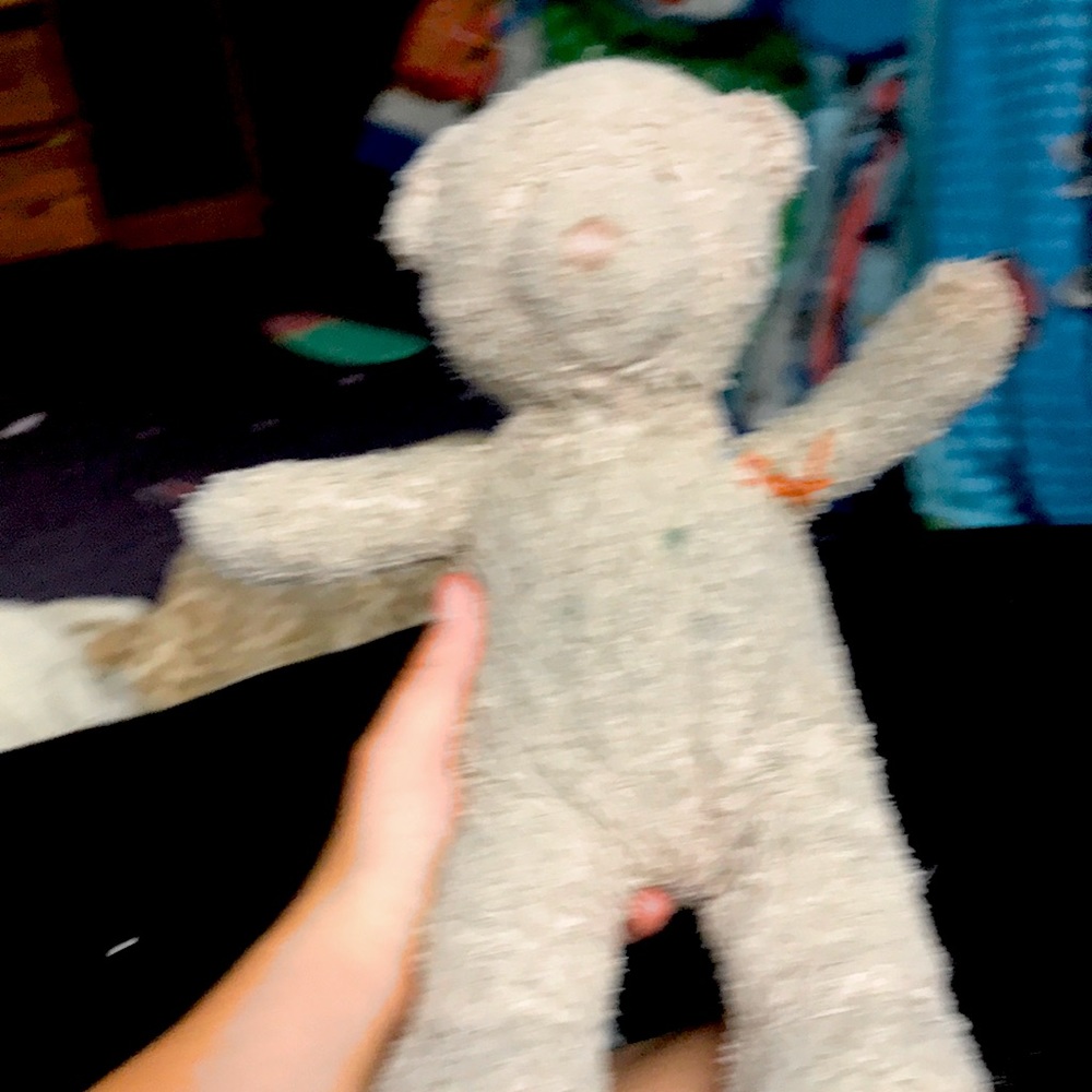 Selling a teddy bare that my kid did not want